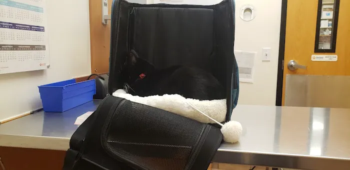 Banfield Pet Hospital Picture 2