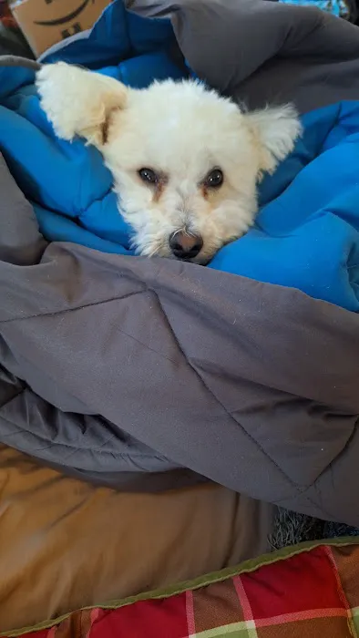 Banfield Pet Hospital Picture 1