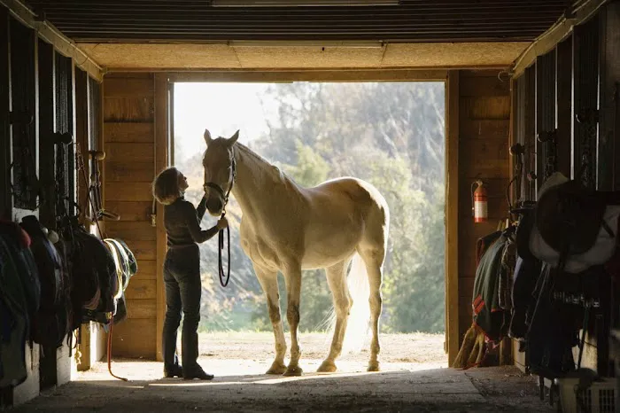 Temecula Creek Veterinary Picture 6