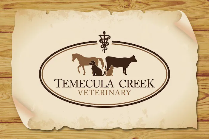 Temecula Creek Veterinary Picture 7