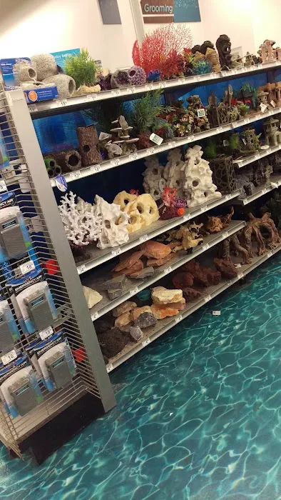 Petco Picture 1
