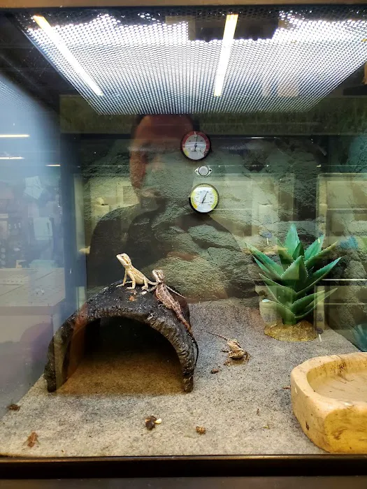Petco Picture 10