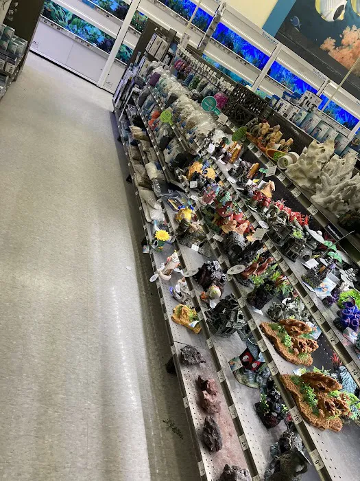 Petco Picture 8