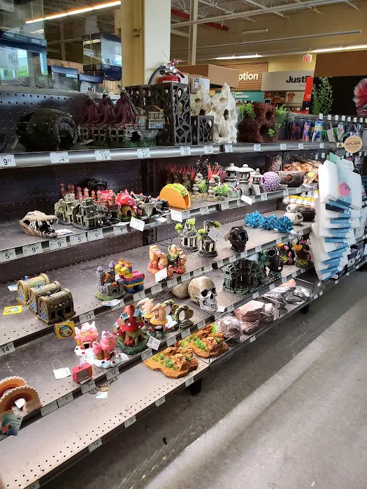 Petco Picture 6