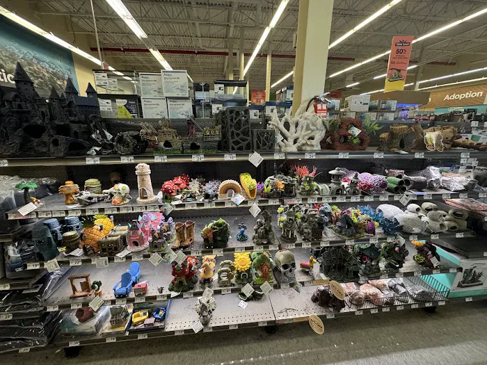 Petco Picture 5