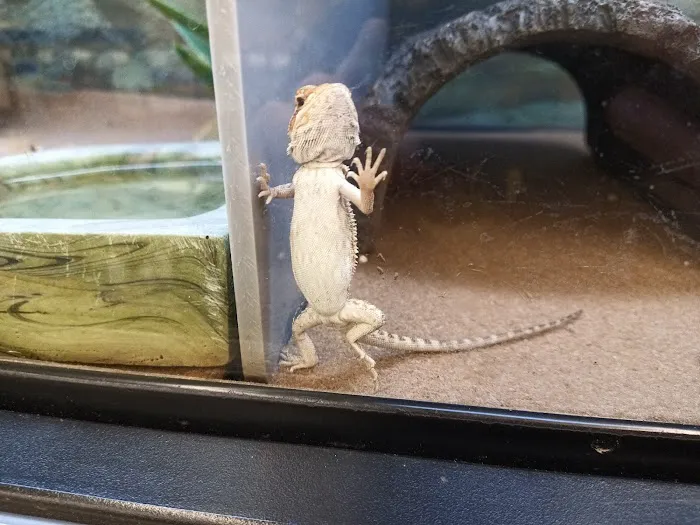Petco Picture 3
