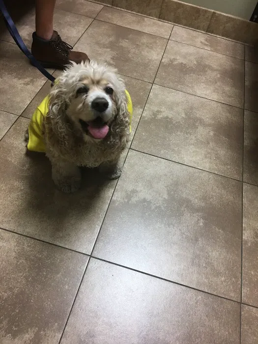 South Temecula Veterinary Hospital Picture 5