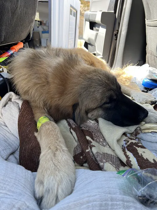 South Temecula Veterinary Hospital Picture 7