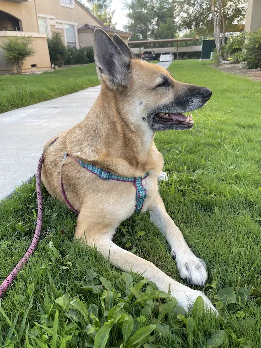 South Temecula Veterinary Hospital Picture 10