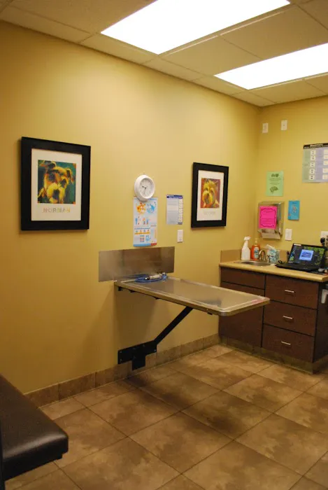 South Temecula Veterinary Hospital Picture 2