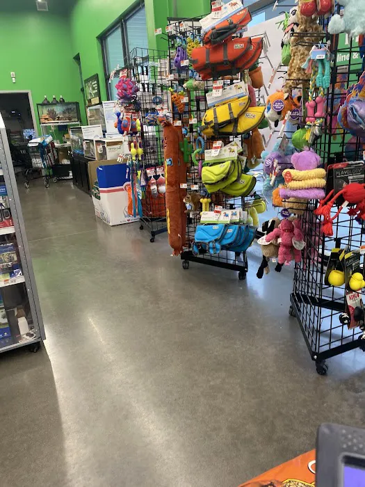 Pet Supplies Plus New Windsor (Vails Gate) Picture 7