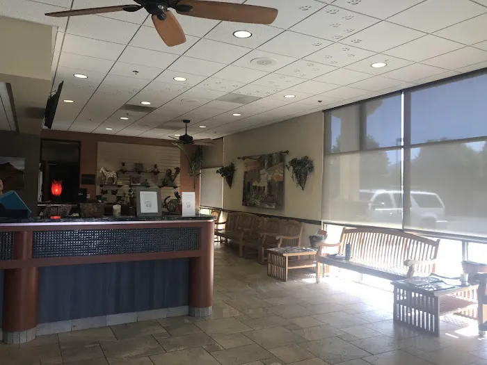 Butterfield Animal Hospital Picture 3