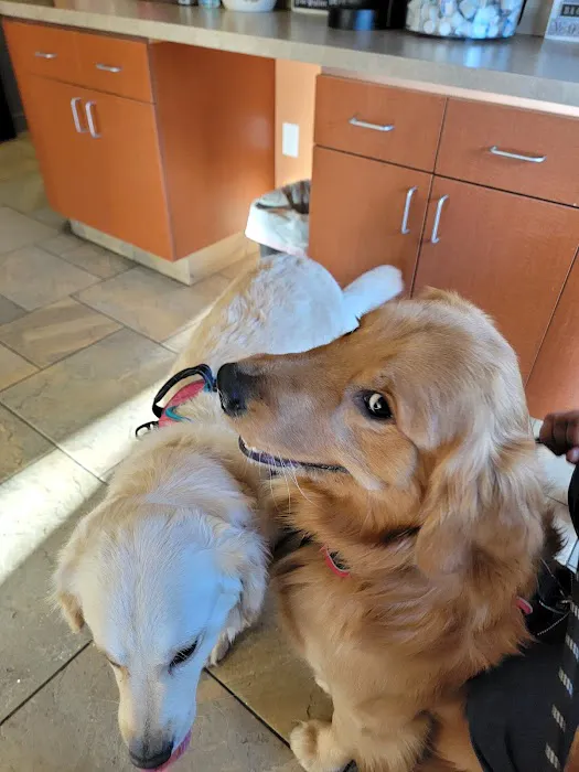 Butterfield Animal Hospital Picture 4