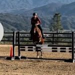 Temeku Equine Inc