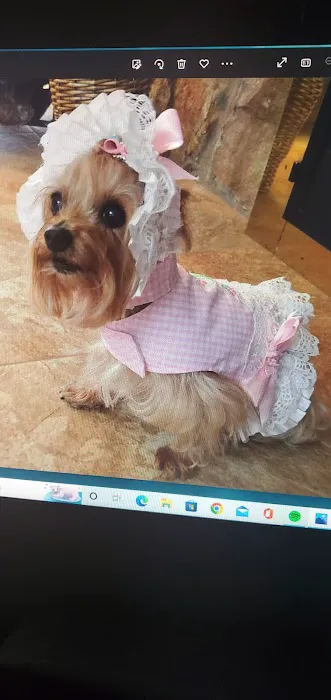 Lil Paws Couture Picture 9