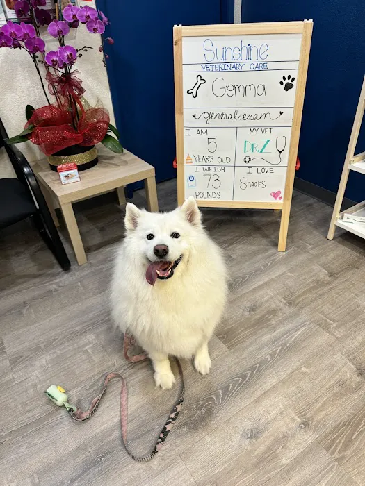 Sunshine Veterinary Care Picture 1
