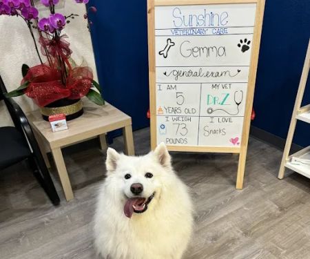 Sunshine Veterinary Care