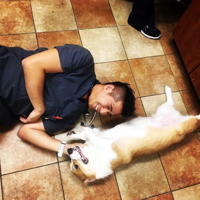 Sunshine Veterinary Care Picture 3