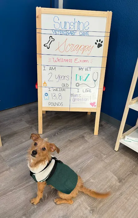 Sunshine Veterinary Care Picture 7
