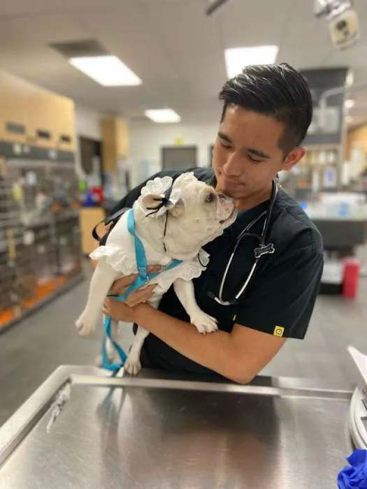 Sunshine Veterinary Care Picture 10