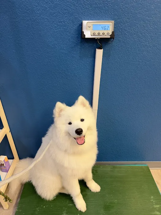 Sunshine Veterinary Care Picture 2