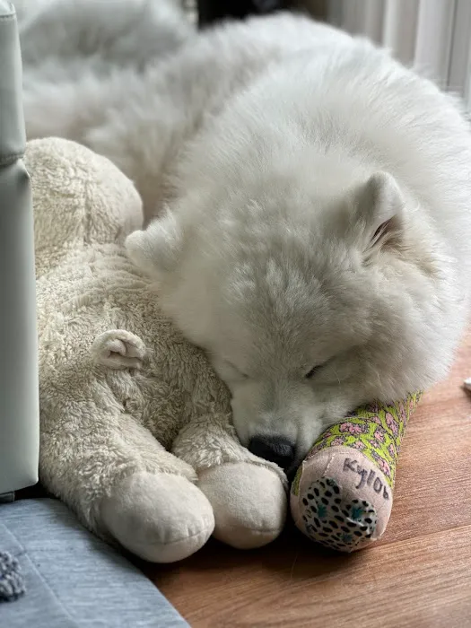 Sunshine Veterinary Care Picture 4