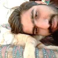 Companion Pet Supply ico
