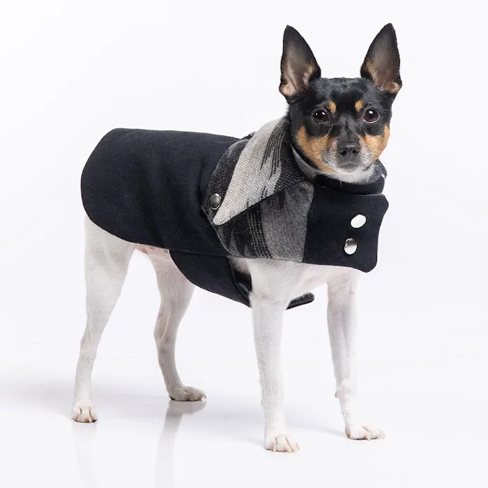 DoggieCoutureNY Picture 3