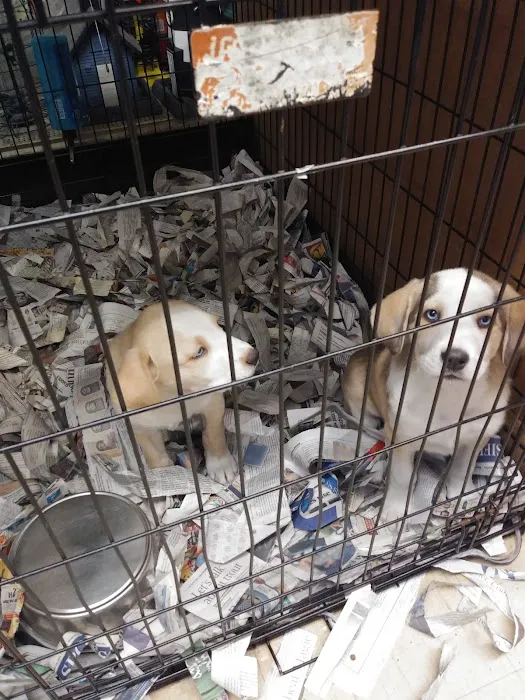 Liberty Pet & Supply Picture 6