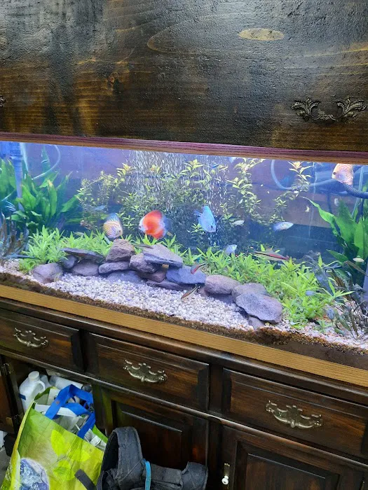 Liberty Pet & Supply Picture 2