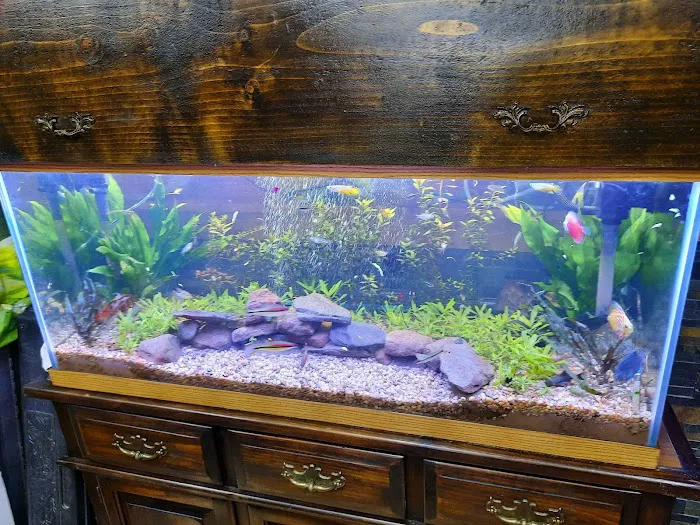 Liberty Pet & Supply Picture 3
