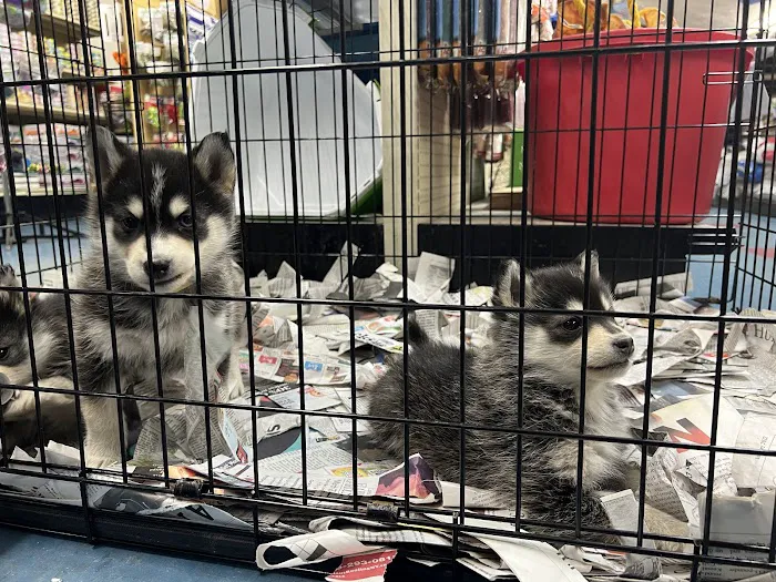 Liberty Pet & Supply Picture 5