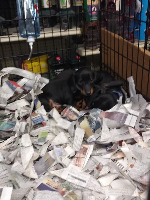 Liberty Pet & Supply Picture 4