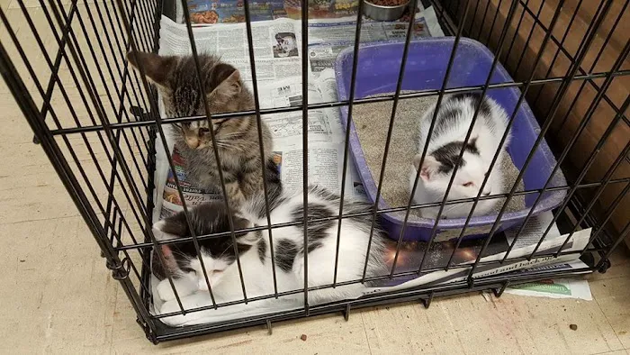 Liberty Pet & Supply Picture 10