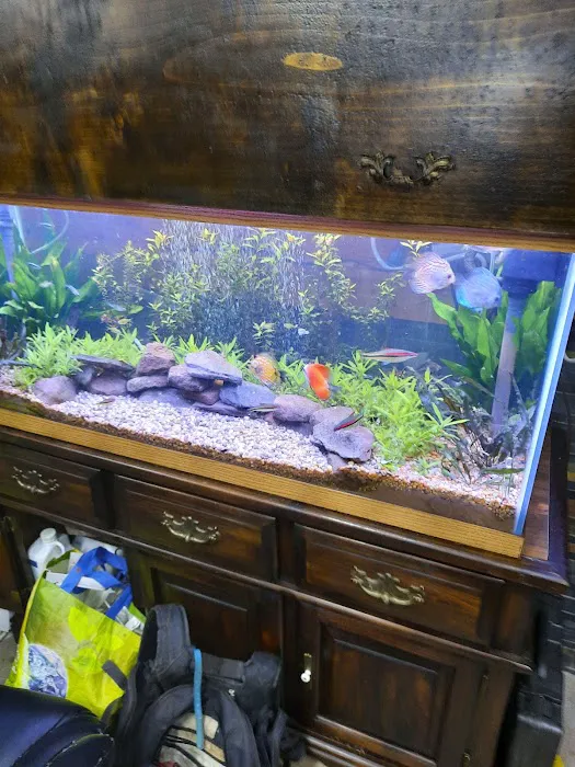 Liberty Pet & Supply Picture 9