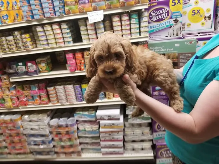 Liberty Pet & Supply Picture 7