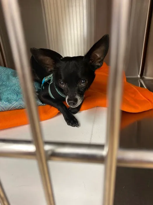 Banfield Pet Hospital Picture 6