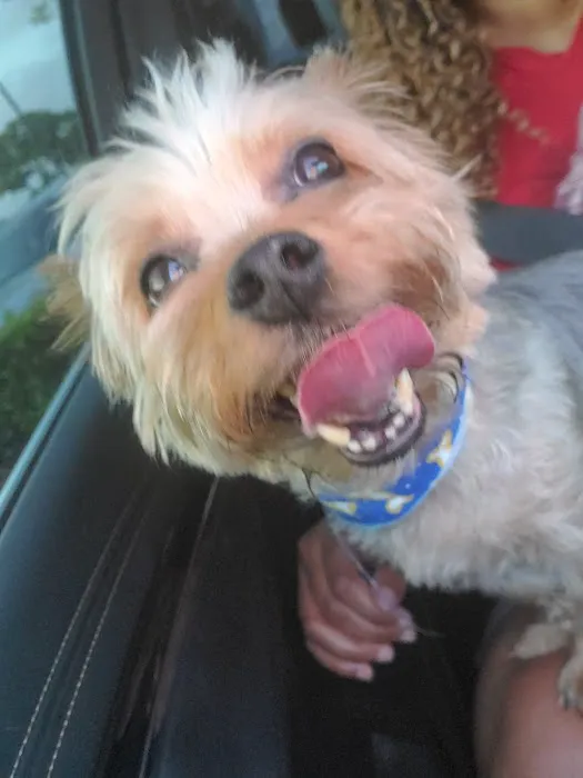 Banfield Pet Hospital Picture 2