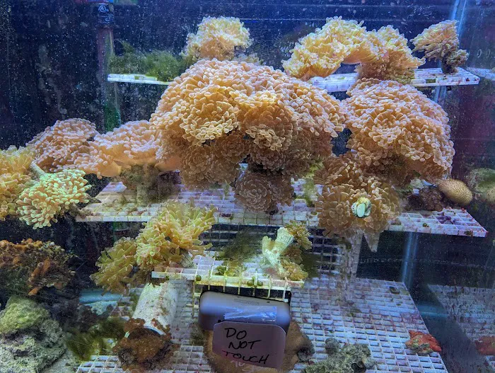 Zoo Pet Center Picture 10