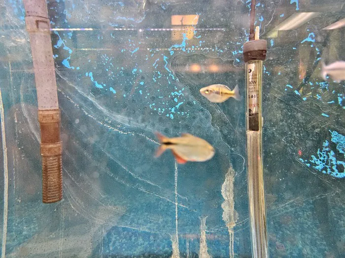 Zoo Pet Center Picture 4