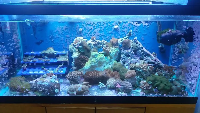 Zoo Pet Center Picture 6