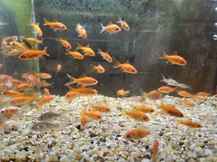 Zoo Pet Center Picture 3