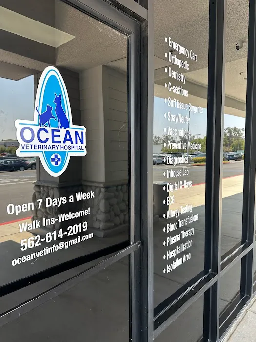 Ocean Veterinary Hospital Picture 5