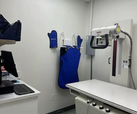 Ocean Veterinary Hospital
