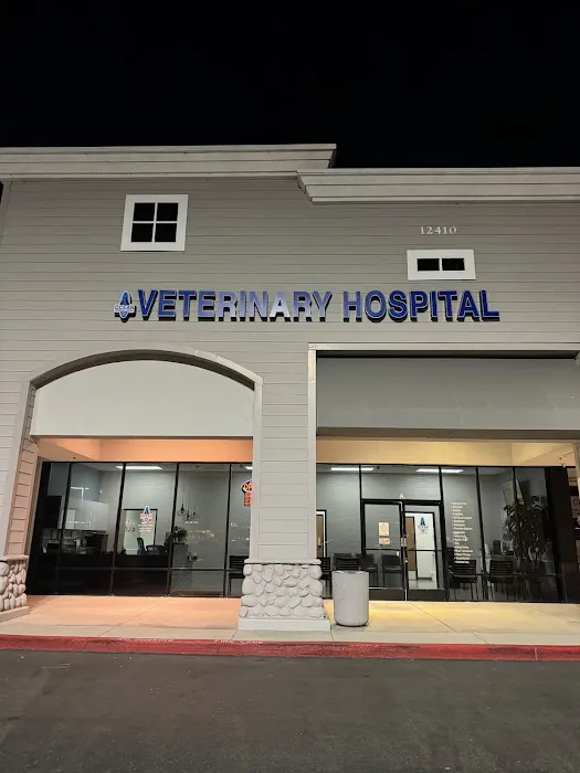 Ocean Veterinary Hospital Picture 6