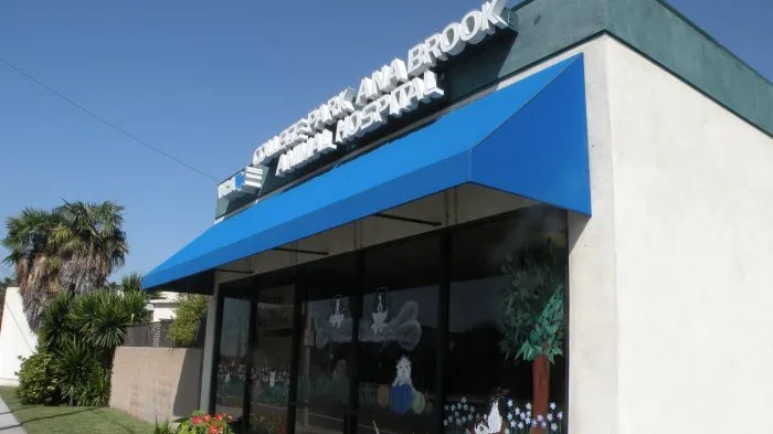VCA College Park - Ana Brook Animal Hospital Picture 2