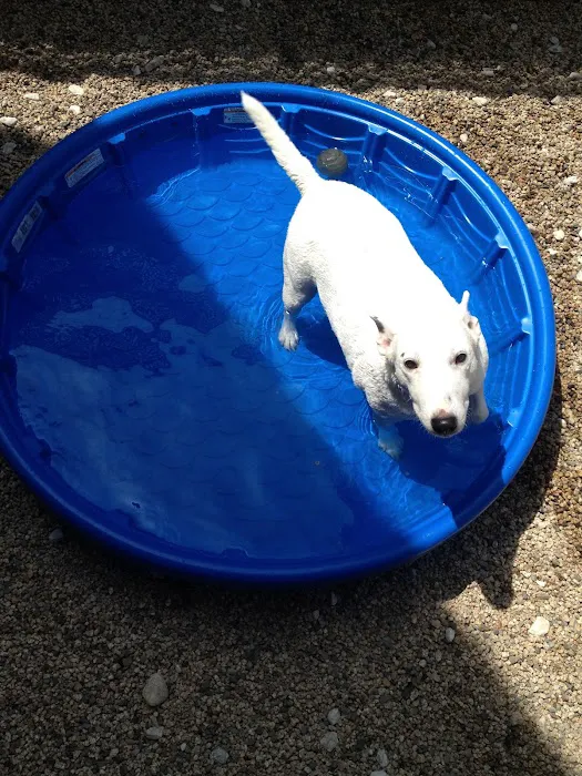 VCA College Park - Ana Brook Animal Hospital Picture 5