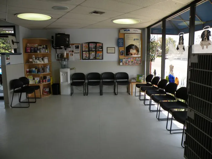 VCA College Park - Ana Brook Animal Hospital Picture 3