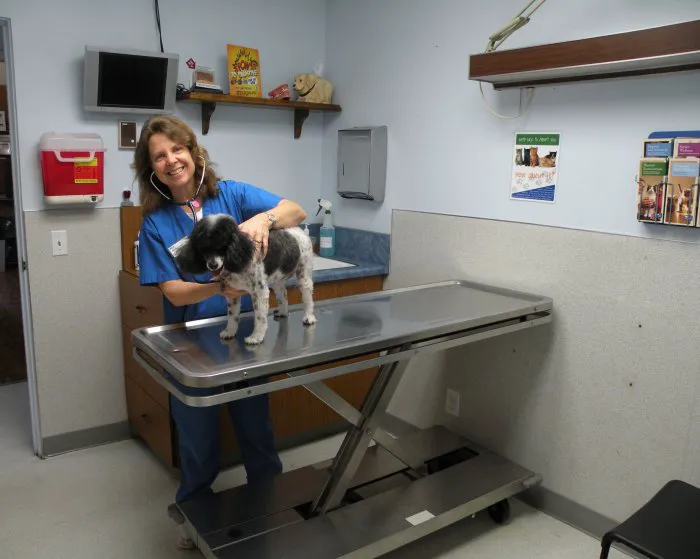 VCA College Park - Ana Brook Animal Hospital Picture 8