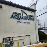 Beital's Aquariums Sales, Services & Ponds